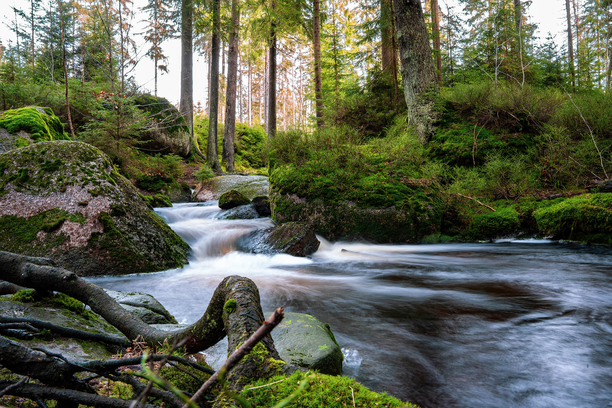 Bischofsgrün Karches Weißer Main Fichtelgebirge Naturlehrpfad Bischofsgrün Karches Weißer Main Fichtelgebirge Naturlehrpfad